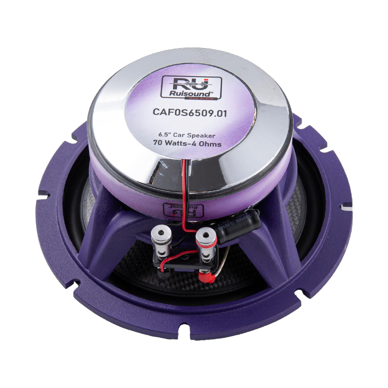 Altavoz coaxial para automóvil bidireccional de 6,5