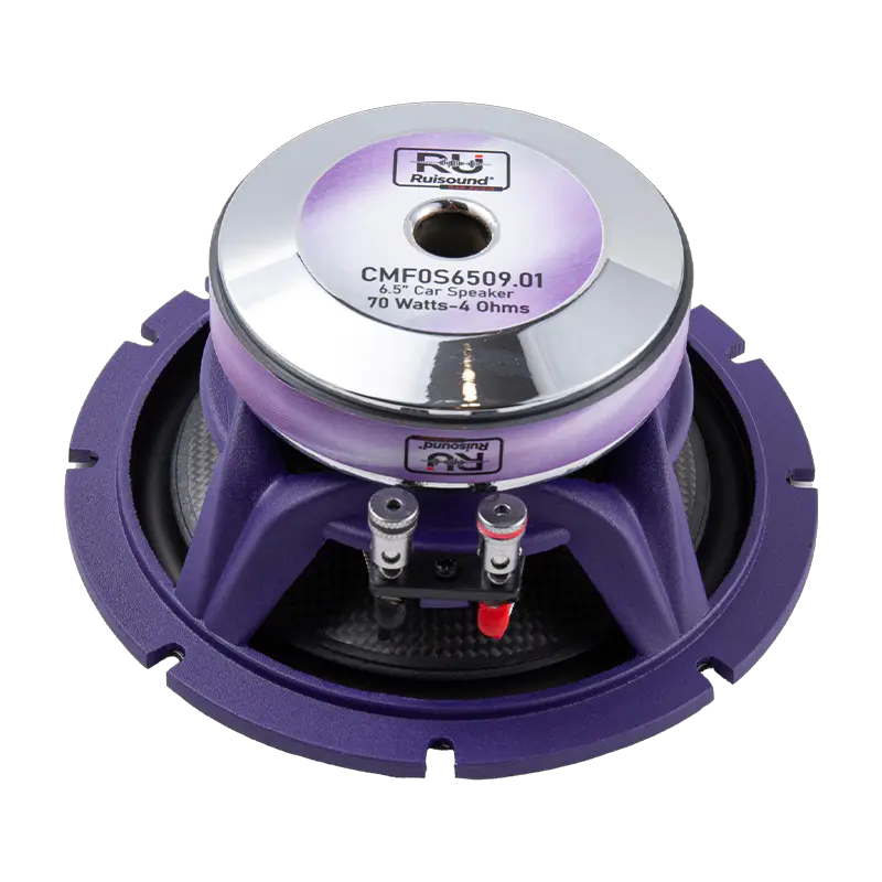 Altavoz de componentes bidireccional de 6,5