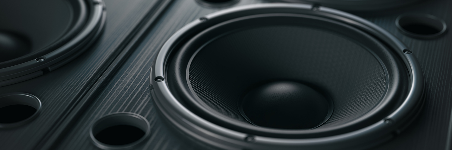 Jiaxing Ruisound Electronics Co., Ltd.